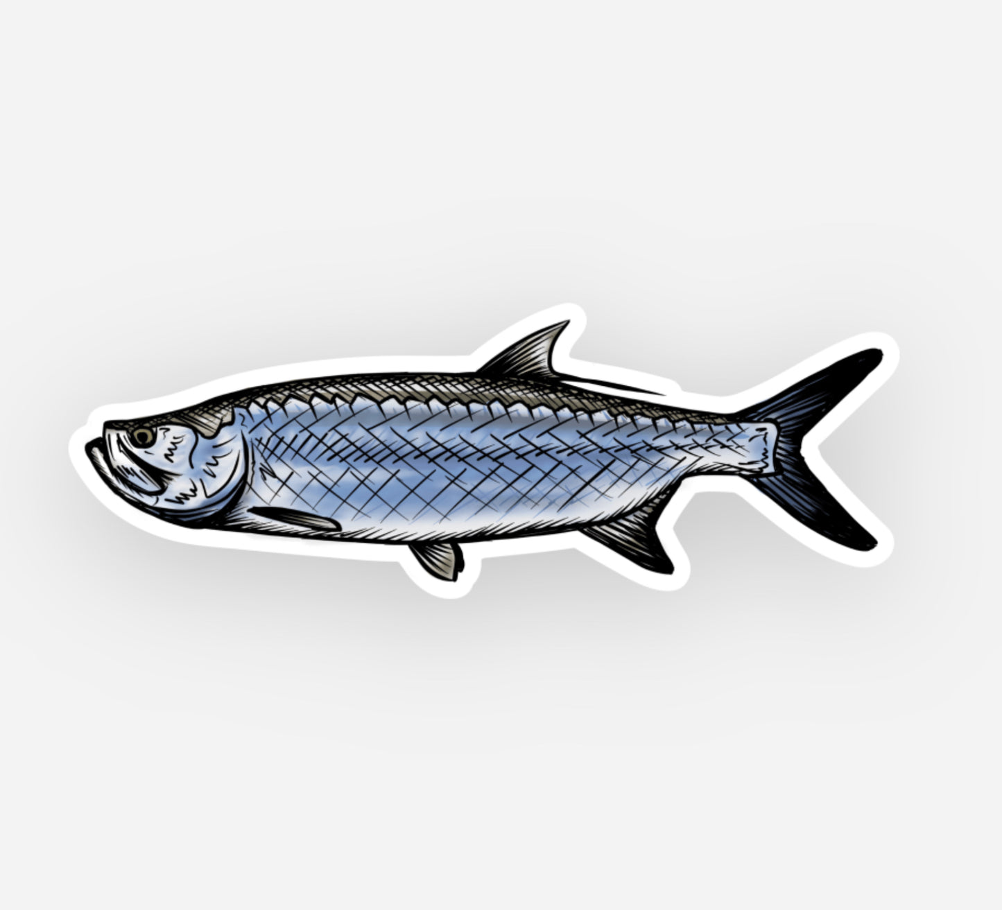 Tarpon Drawing Decal