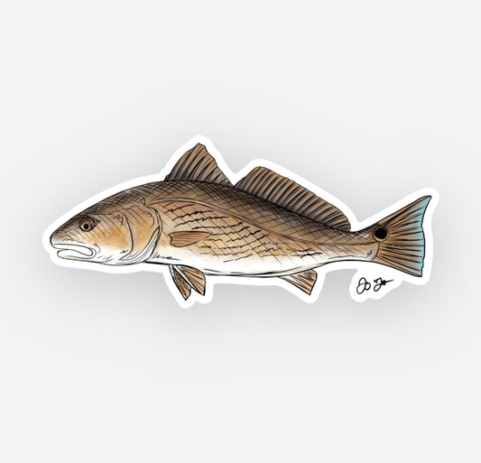 Redfish Drawing Decal