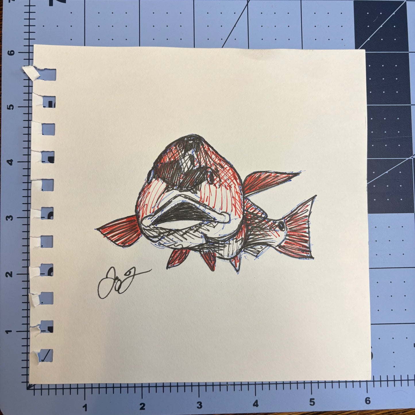 Studio Sale Redfish 3 Original