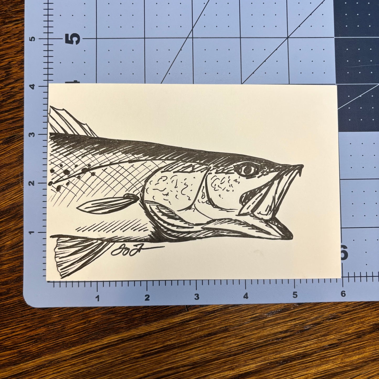 Studio Sale Sea Trout Original