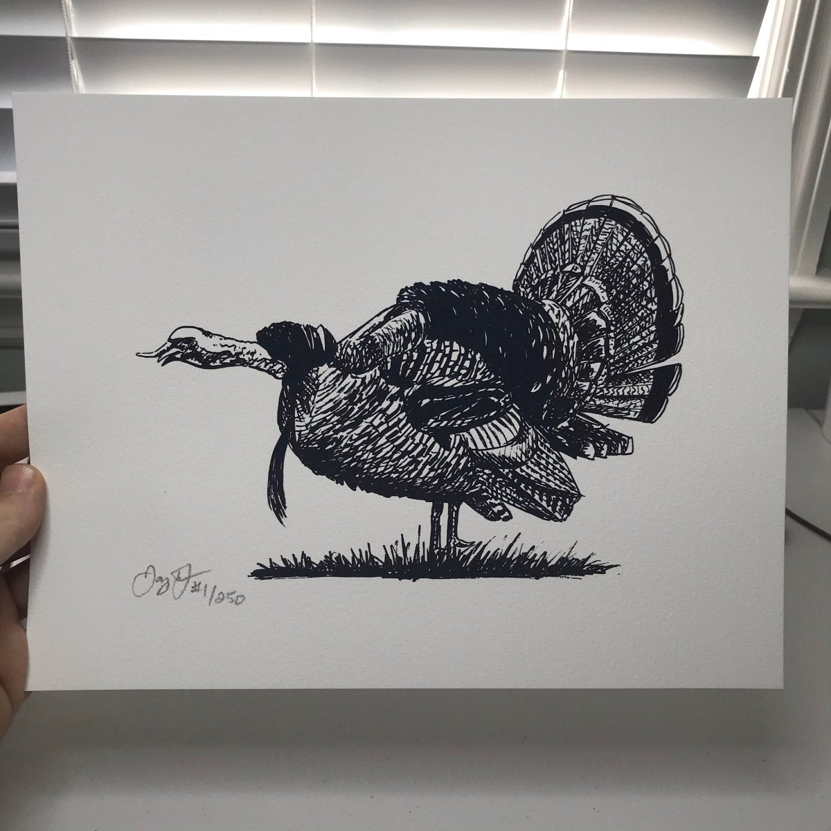 Gobbler Print - Jaybo Art