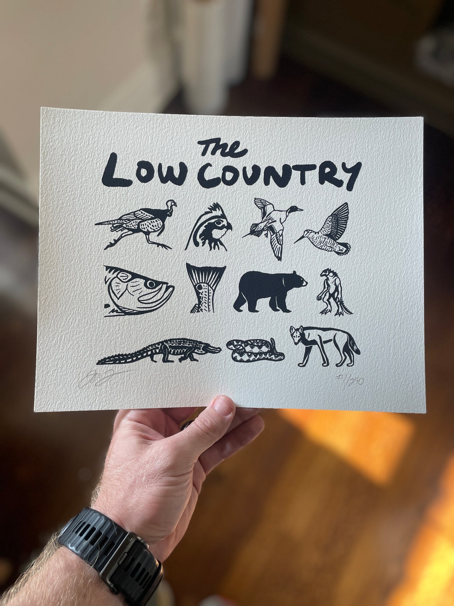 The Lowcountry Print Version 1