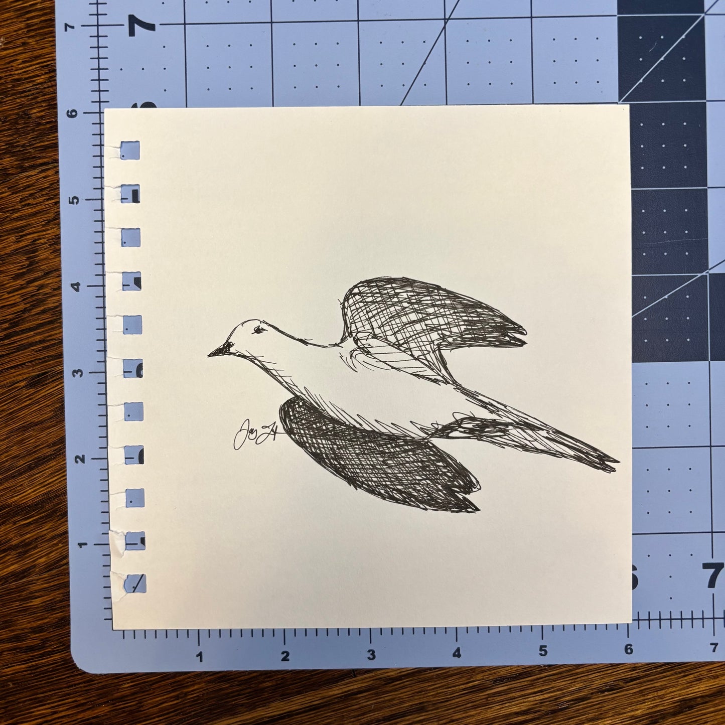 Studio Sale Dove Original