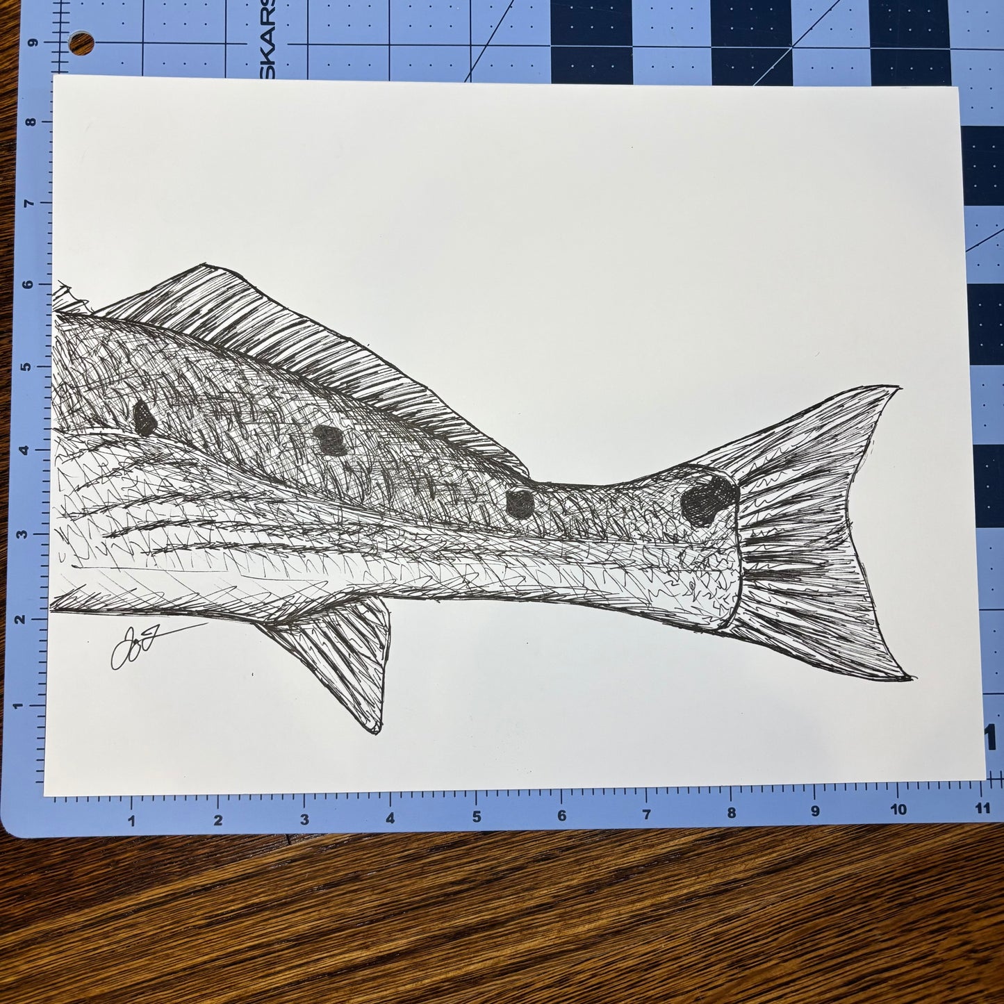 Studio Sale Redfish Tail Original