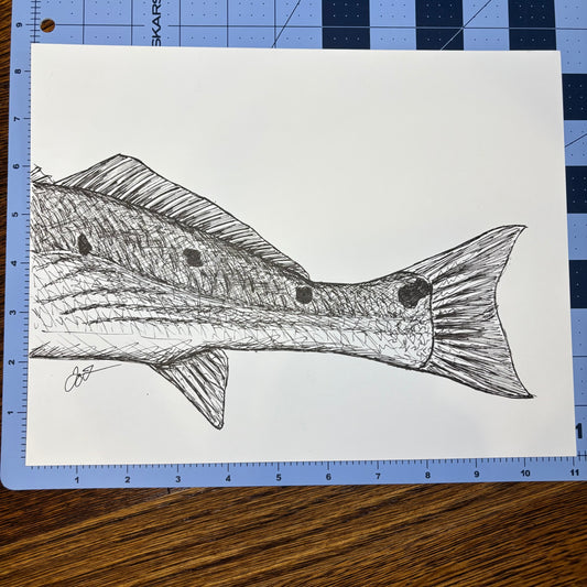 Studio Sale Redfish Tail Original