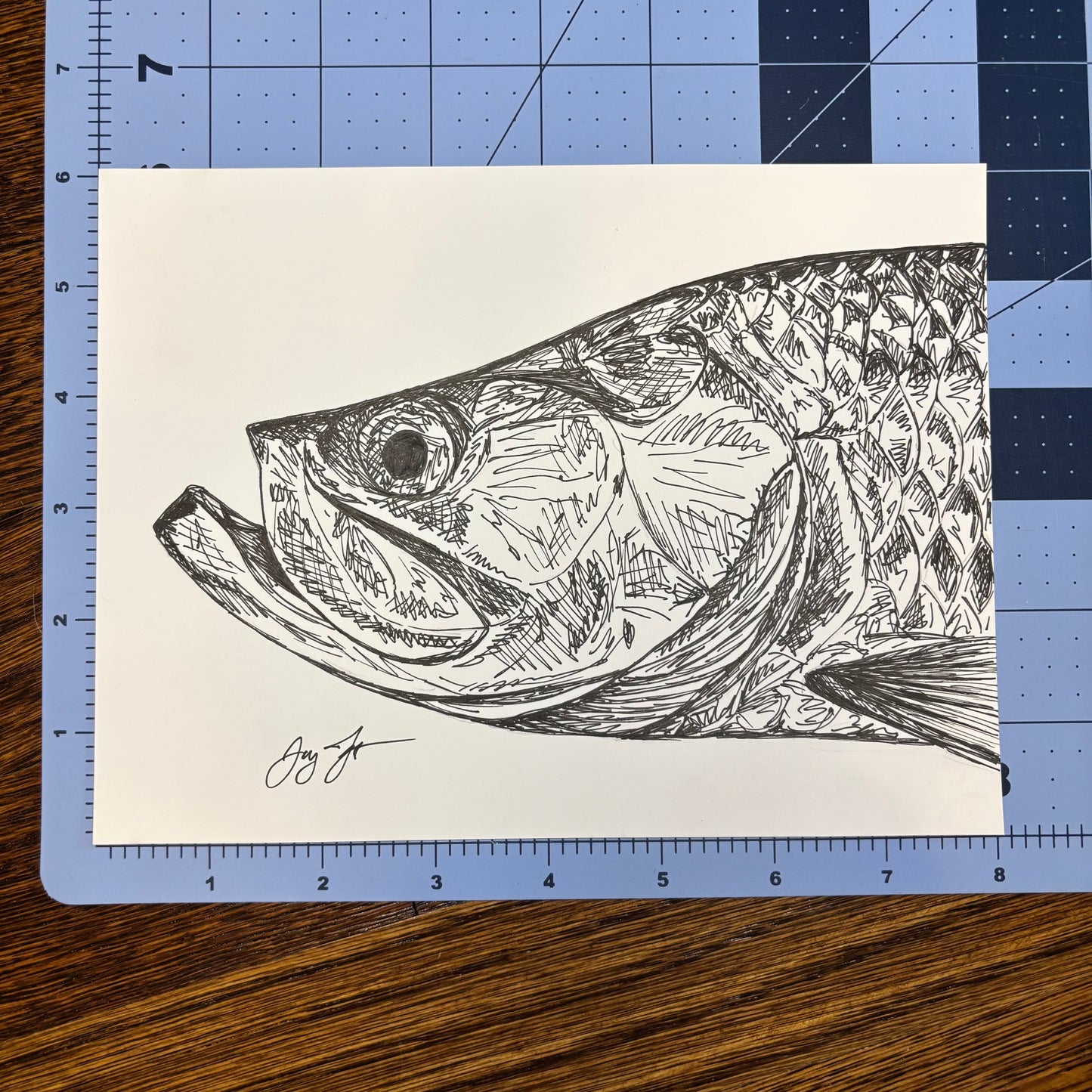 Studio Sale Tarpon Original