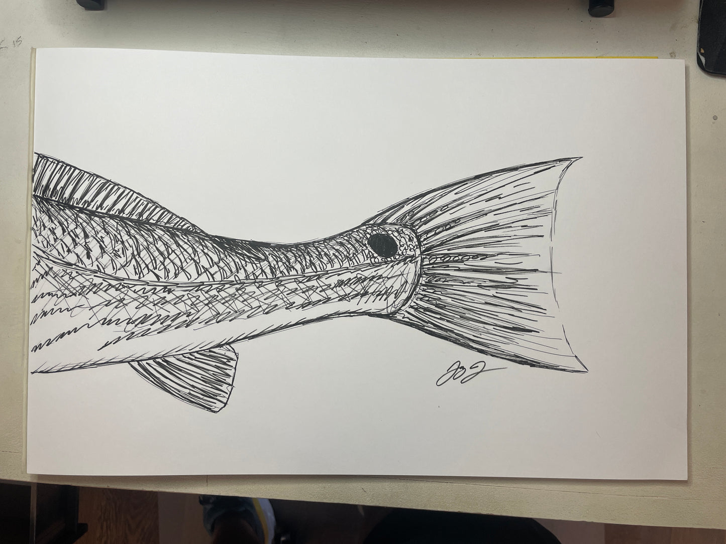 Original Redfish Tail Sketch by Jay Talbot