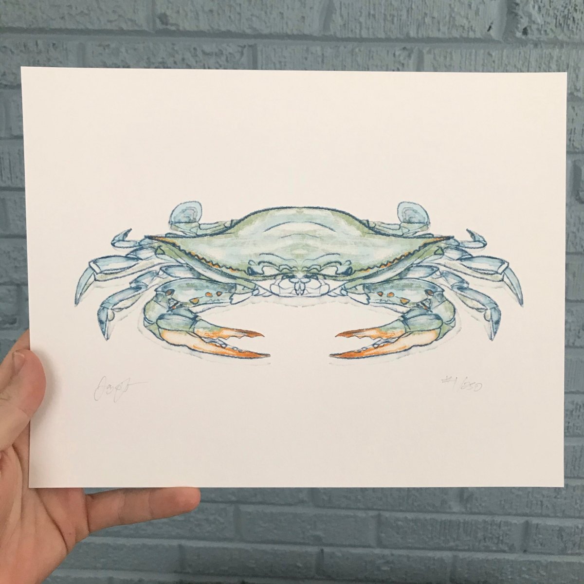 Blue Crab Print - Jaybo Art