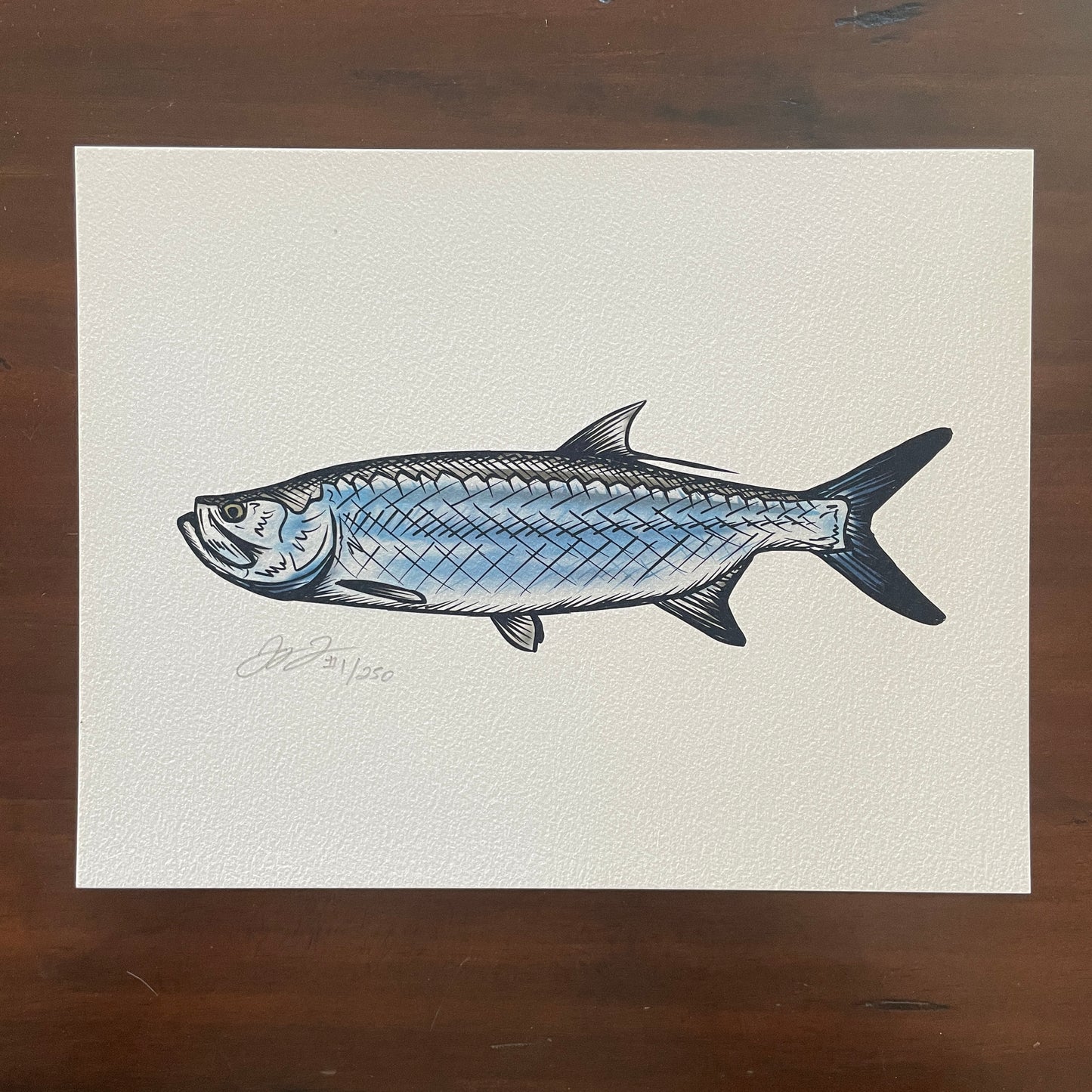 Tarpon Print (Frame not included)
