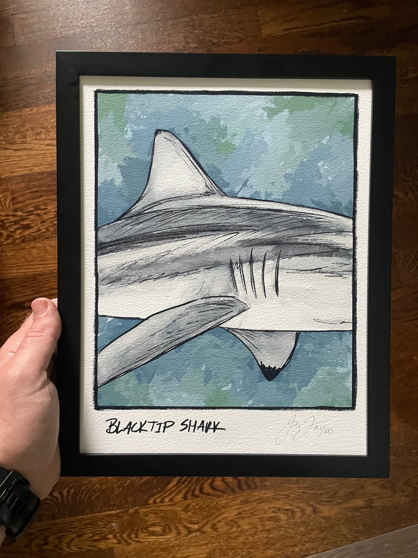Blacktip Shark Closeup Print Ed. of 100 (Frame not included)