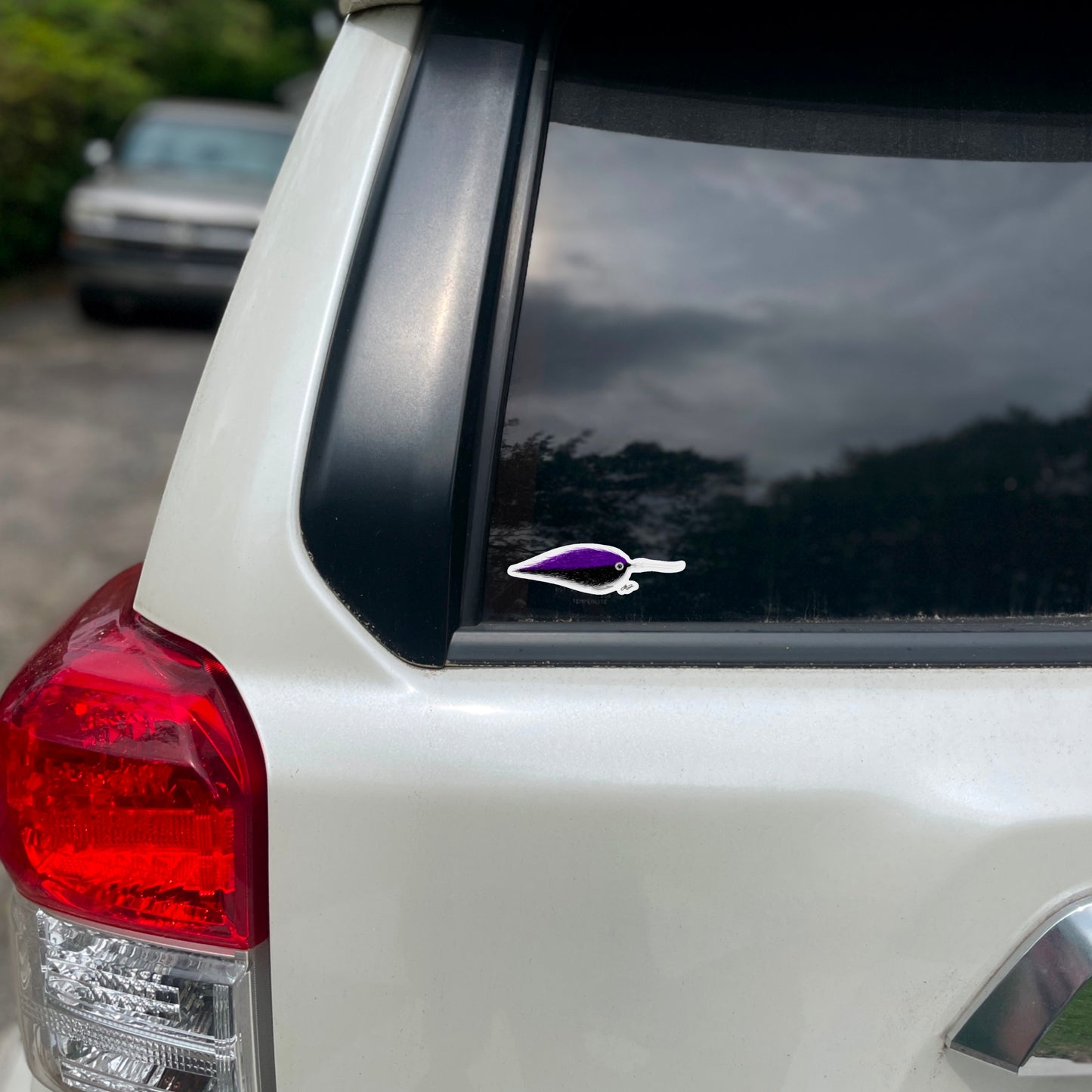 Black and Purple EP Baitfish Fly Sketch Decal