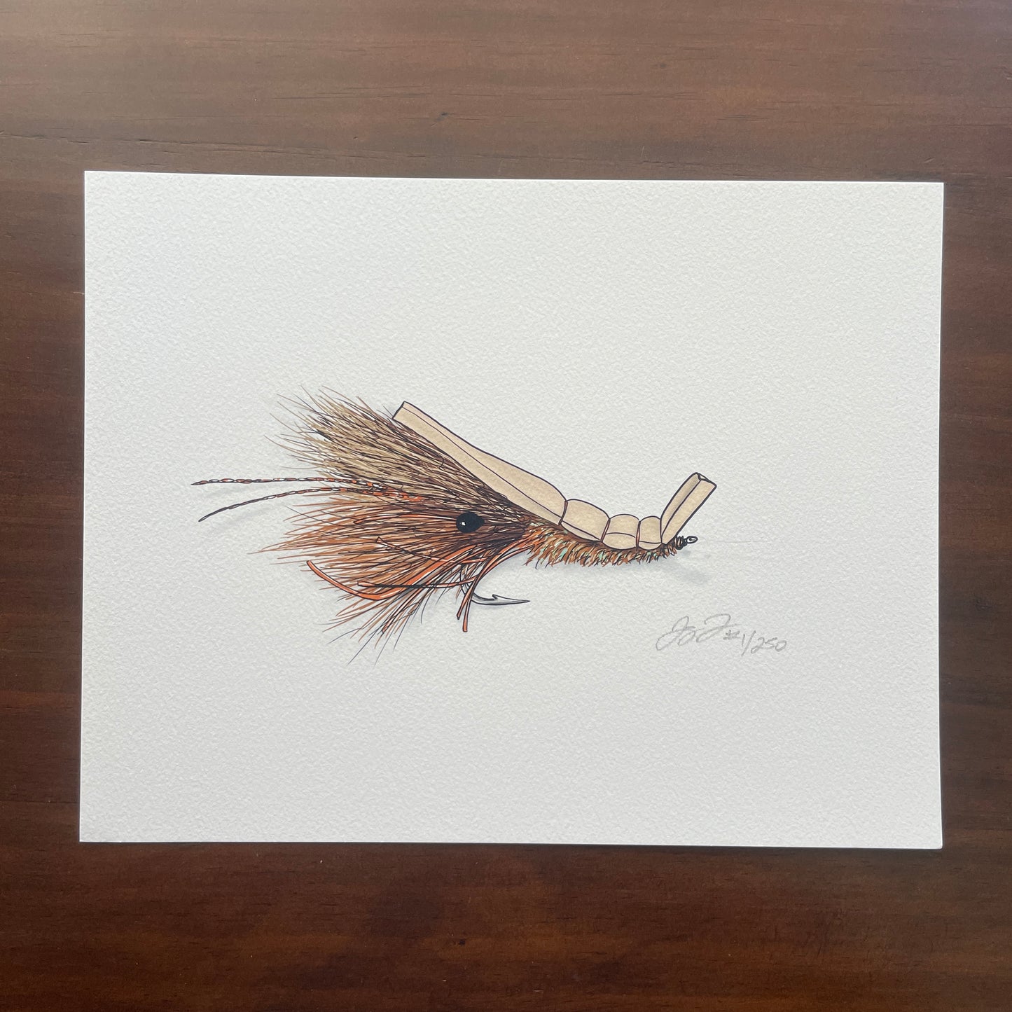 Shrimp Fly Print