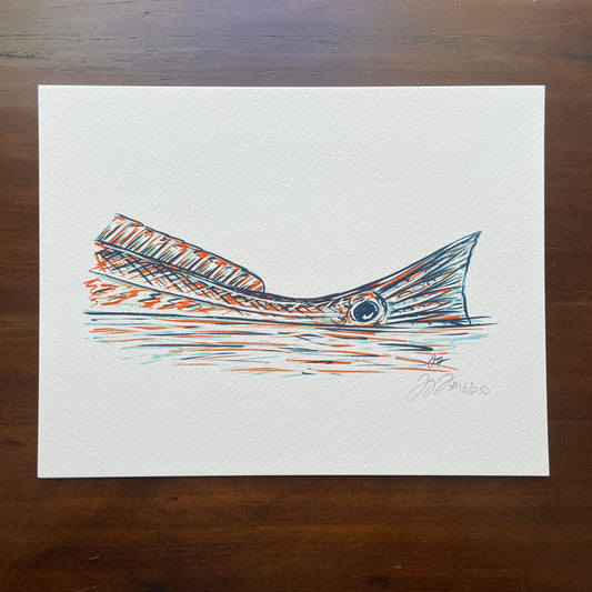 Tailing Redfish Print