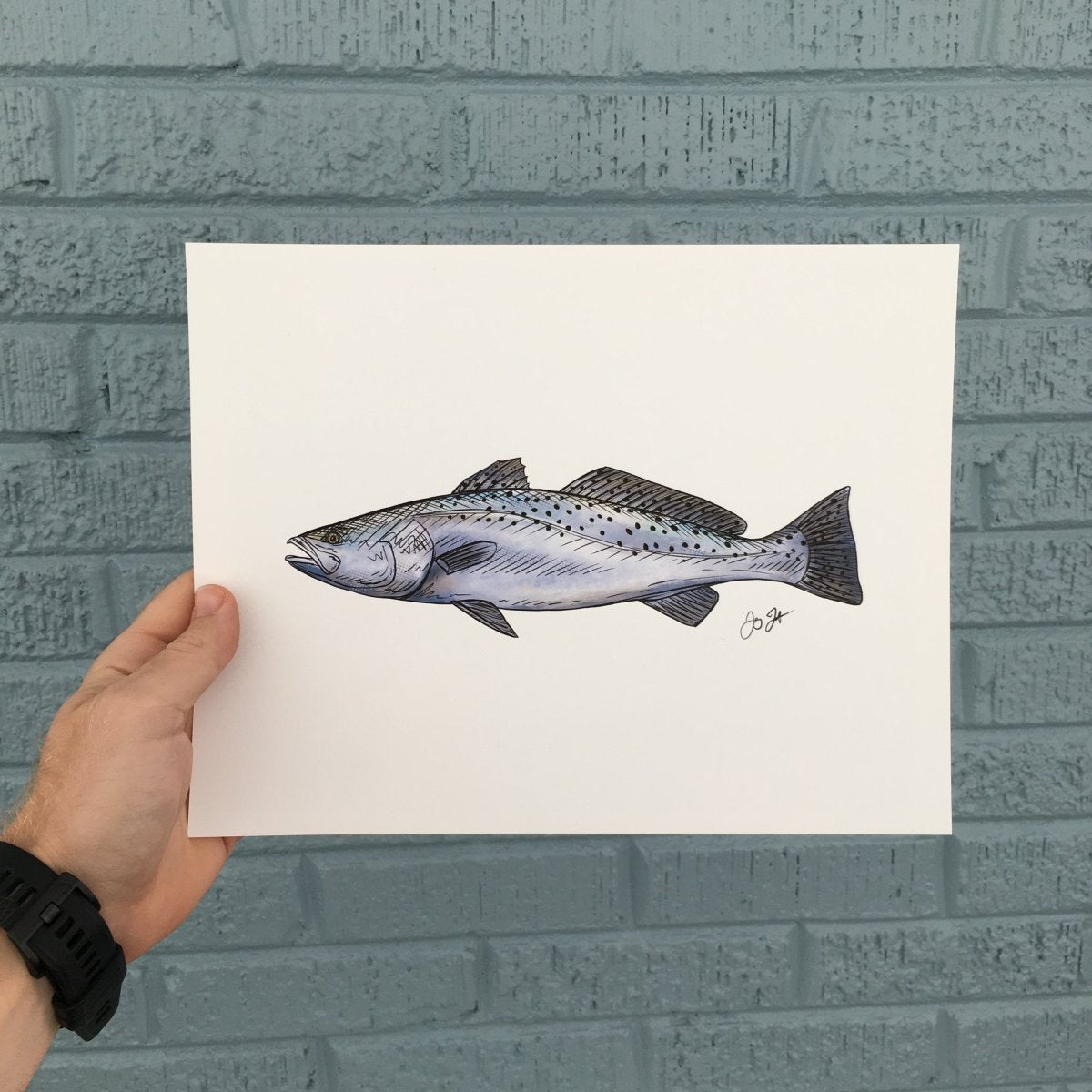 Sea Trout Print - Jaybo Art